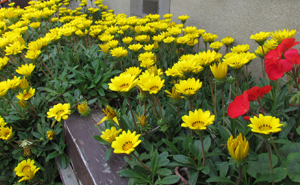 福岡県古賀市美容室シュプール